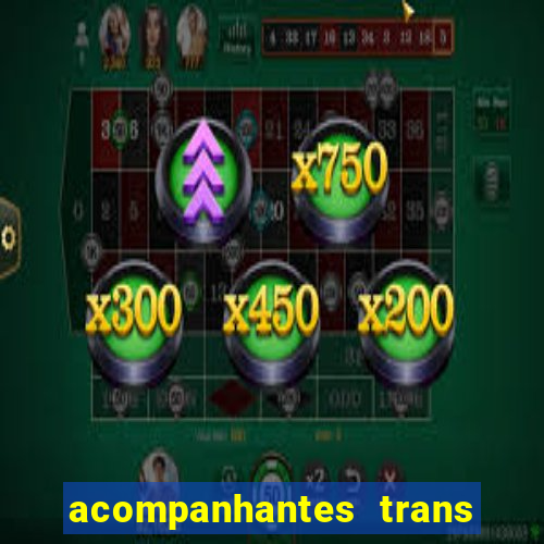 acompanhantes trans baixada fluminense